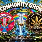 Ccg Run Bud voyage
