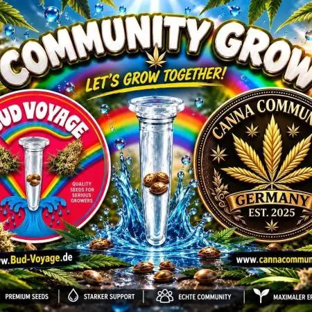 Ccg Run Bud voyage