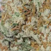 Brookey LSD