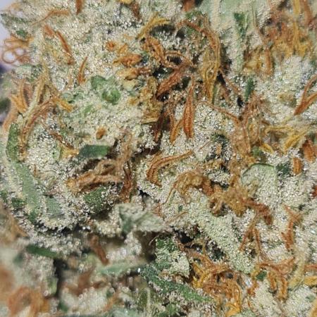 Brookey LSD