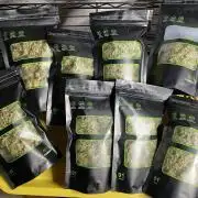 Blue Dream - Plant #4