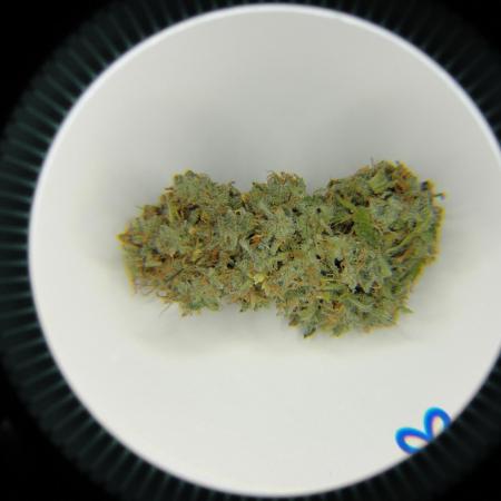 Blue Dream