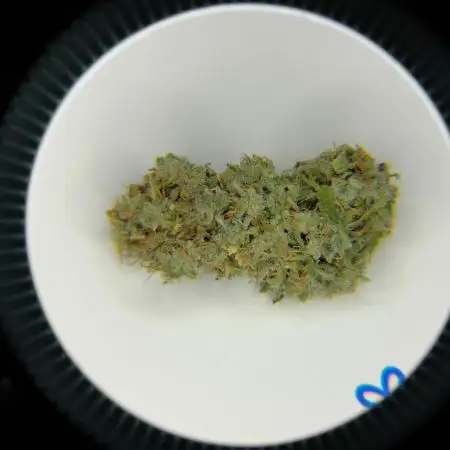 Blue Dream