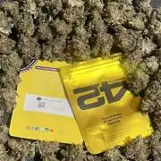 Lemon Cherry Runtz. Fastbuds