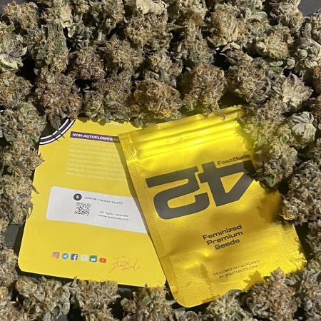 Lemon Cherry Runtz. Fastbuds
