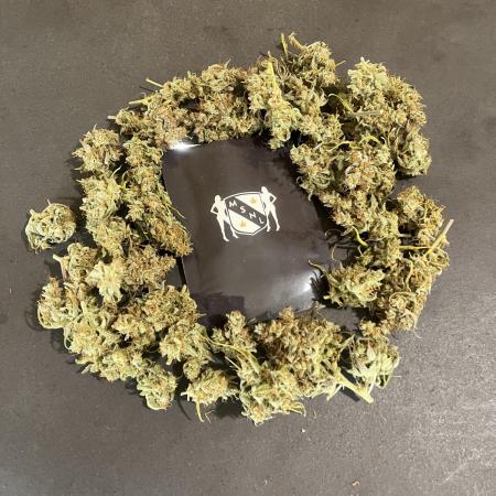 GG4. MSNL