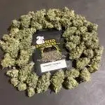 Permanent Maker. Seedstockers