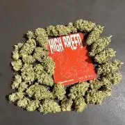 Gomu Gomu Mango. HighBreed