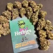 Runtz Punch. Herbies