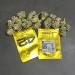 Lemon Mandarin. fastbuds