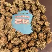 Purple Lemonade FF. Fastbuds