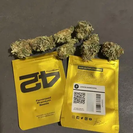 Lemon Mandarin. fastbuds