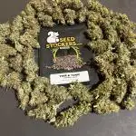 Terp & Tonic. Seedstockers