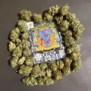 Monster Maker. Sweetseeds