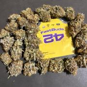 Papayton. Fastbuds