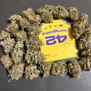 Papayton. Fastbuds