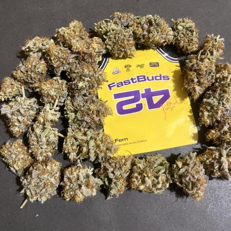 Papayton. Fastbuds