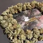 Mistery ¿?. Seedstockers