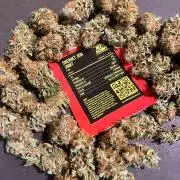 Sherbet Jedi Joint. HighBreed