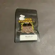 Gelato 41. Seedstockers