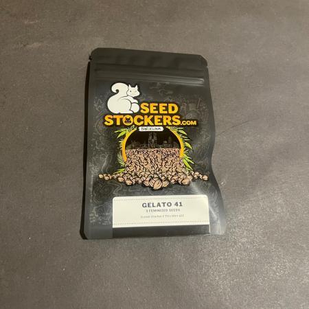 Gelato 41. Seedstockers