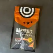 Zoap Rose. Kannabia