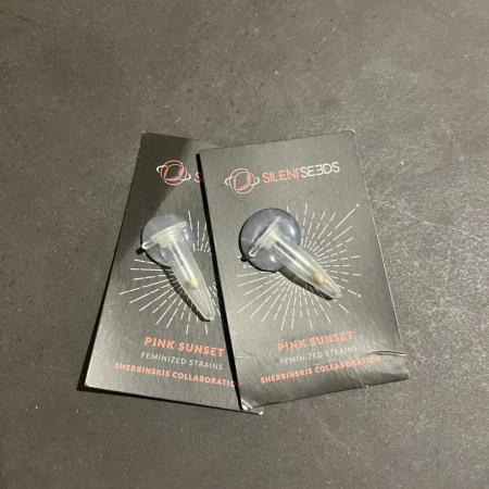 Pink Sunset. Silentseeds