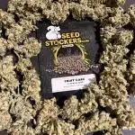 Fruit Cake. Seedstockers
