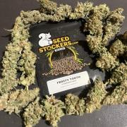 Frosty Tooth. Seedstockers