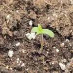 New drop fastbuds 💪