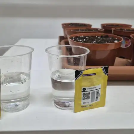 New drop fastbuds 💪