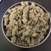 #8 – Gorilla Cookies Auto