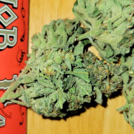 Dan's adventures in growing