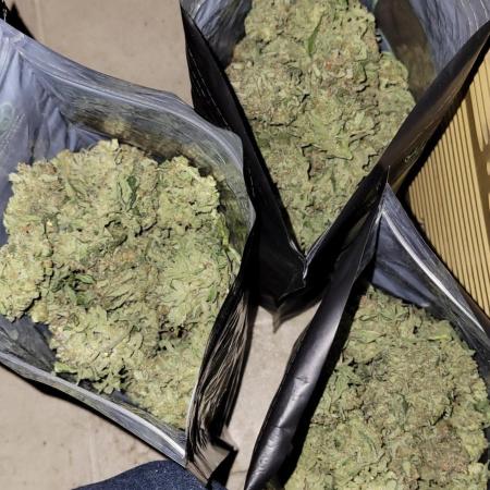 Dan's adventures in growing