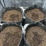 42FastBuds Auto Mix Pack