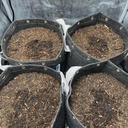 42FastBuds Auto Mix Pack