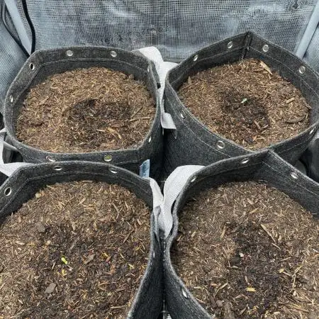 42FastBuds Auto Mix Pack