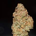 Hawkbo: Sour Stomper