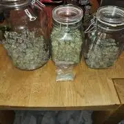 Glookies 30liter Mainlining