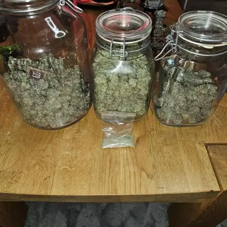 Glookies 30liter Mainlining