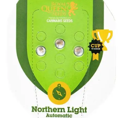Northern Light Auto