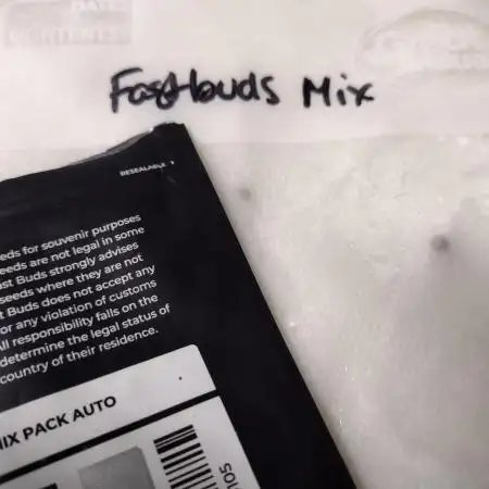 Mix Pack #5 - Outdoor 2025
