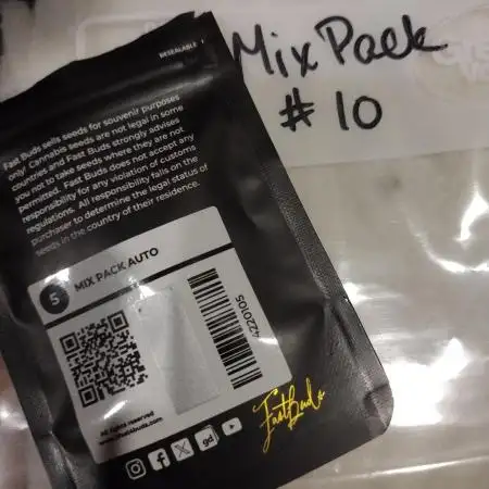 Mix Pack Auto #10 - 2025 Outdoor