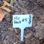 Mix Pack Auto #5 - Outdoor 2025