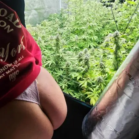 Segundo indoor