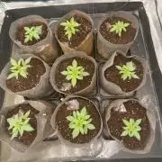 Cuarto indoor