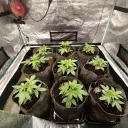 Cuarto indoor