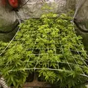 Cuarto indoor