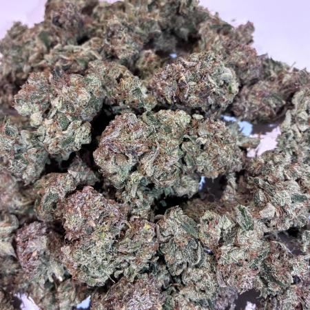 02 | CANNA-CHEESE 1:1 (54W)