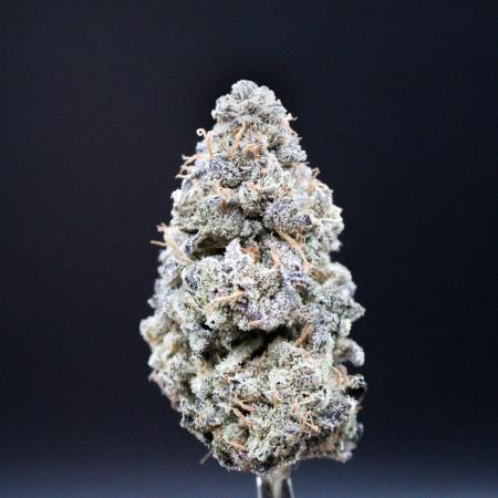 Blemics_ Growdiaries ´3